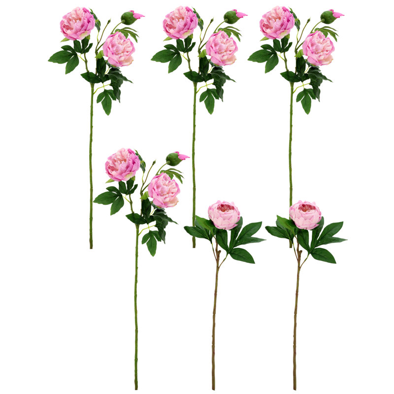 Pivoine à volants, touche naturelle, boîte de 6 - 23-32 pouces, Lavande