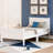 Solid Wood Twin Bed With Headboard, & White Platform Headboard/ And