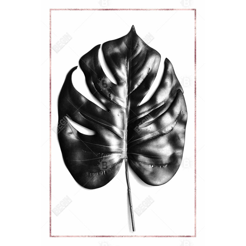 «Split Leaf Philodendron With Rose Line» sur toile