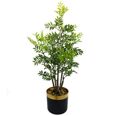Eucalyptus Arrangement in Pot