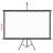 Projection Screen Home Theater Screen Pull-down-80889497