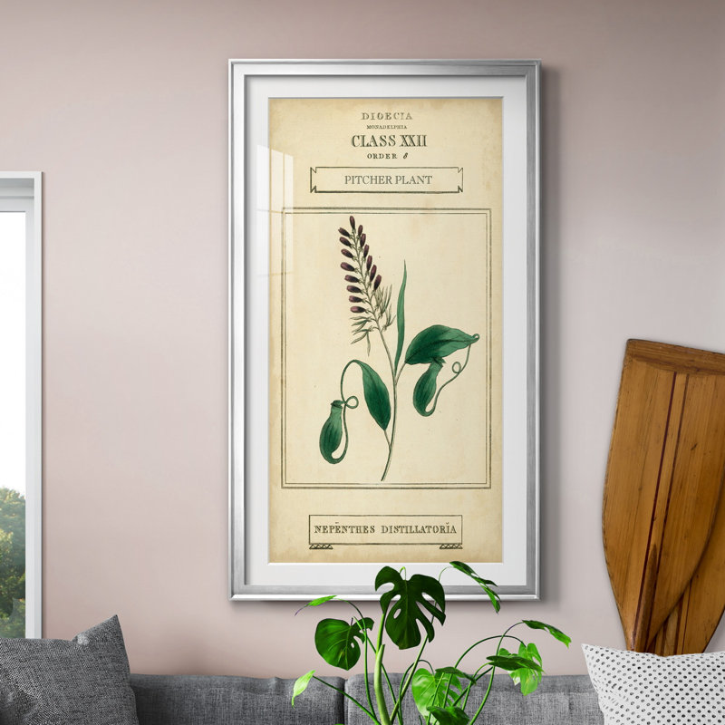 Linnaean Botany II - peinture encadrée, Argent, H 14,5 po x l 26,5 po x P 1,5 po