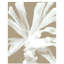 Plant Study II Painting by Fern Cassidy-26773962-26773963