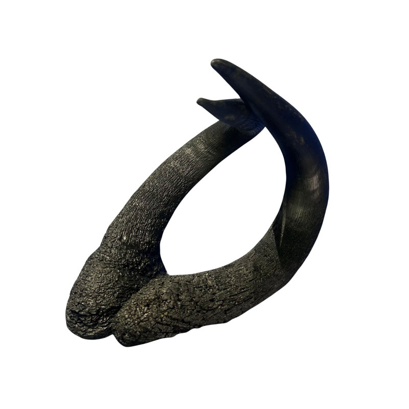 Real Black Wildebeest Horn Set, Dark Brown