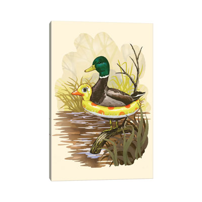 Steven Rhodes " Duck In Training " by Steven Rhodes