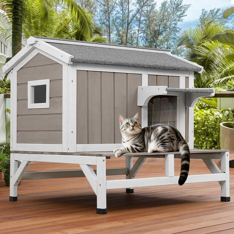 Abri pour chat extérieur avec plateforme, H 26,5 po x l 25,6 po x P 25,6 po
