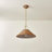 Davida 1 Light Pendant by Zoe Feldman x Mitzi-94228916