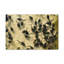 Tadpole Group Tadpole-1633612030