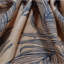 PALMS-NAVY-1152333612