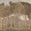Papier peint Serene Greenery And Blooming Trees-112696881-112696882