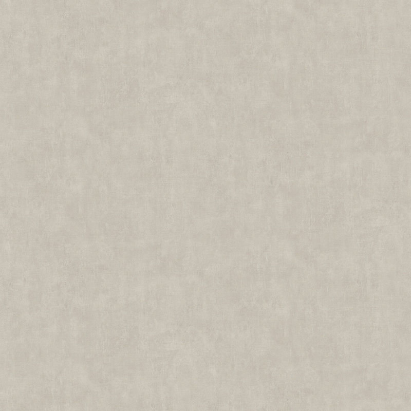 Rouleau de papier peint L 33 pi x l 20,9 po Carrero, Taupe