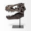 Sculpture Tyrannosaurus Rex