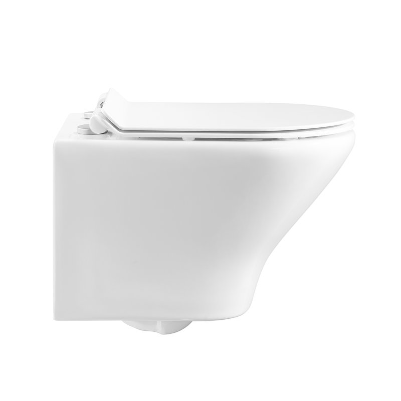 Monaco Wall-Hung Toilet Bundle 0.8/1.6 GPF Dual Flush In Glossy White With Flush Plate, Glossy White