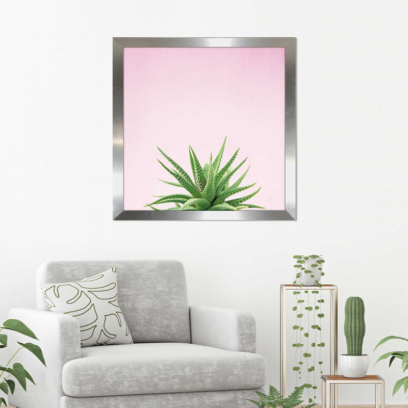 Photographie sur toile encadrée succulent simplicité, H 21,5 po x l 21,5 po x P 0,75 po, Encadrement argenté