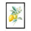 Art mural sur toile, "Citron de cuisine", impression de citron rétro - Floursack Lemon II-48299420-48299425