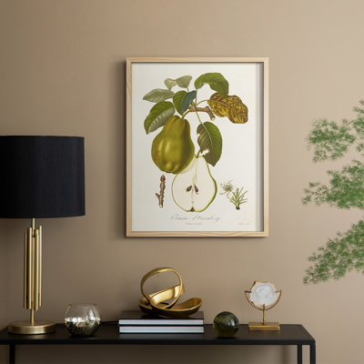 Vintage Pears IV Framed Print - Solid Wood