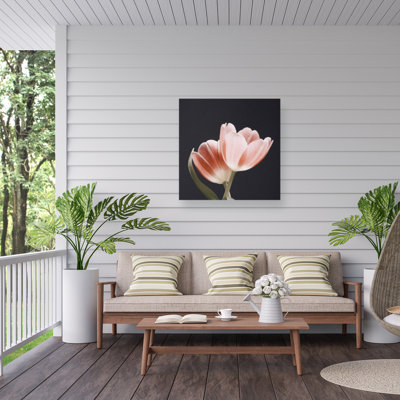 Doux rose gris sur fond en toile