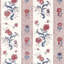 Papaver Stripe-1145336409