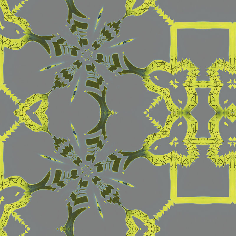 Arachné | Papier peint treillis Modern Chinoiserie, Gris / vert / jaune / bleu sarcelle