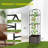Carlinda Raised Garden Bed Planter Box With Wheels,Tomato Cage Planter With Trellis