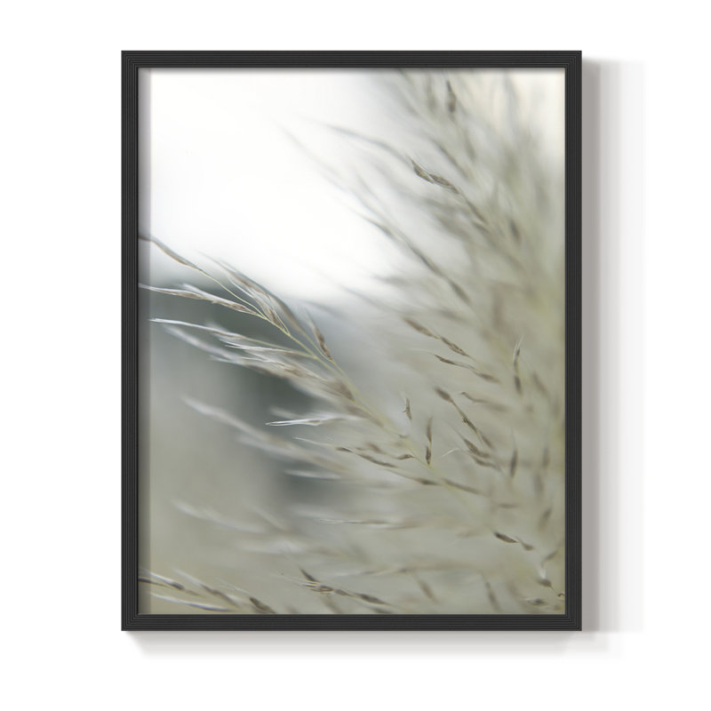 «Subtle Graminées II», reproduction encadrée - bois massif, Noir, H 10 po x l 8 po