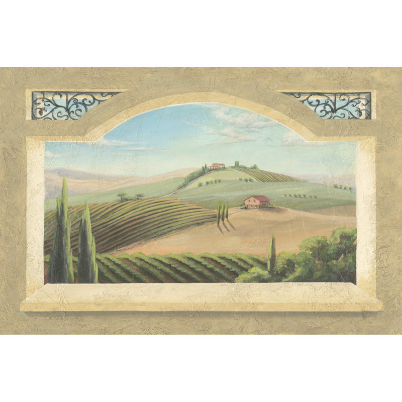 Vineyard Window III by Joelle McIntyre - Wrapped Canvas Art Prints, 30cm H x 46cm W x 3.8cm D
