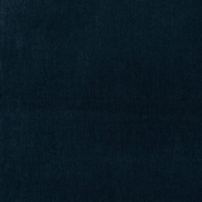 Whistler Velvet Fabric
