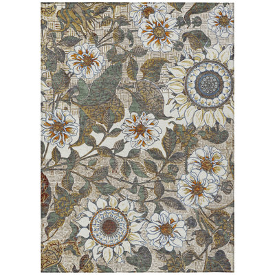 Machine Washable Indoor/Outdoor Chantille ACN2774 Floral Rug