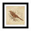Steampunk Songbird, impression sur toile tendue-74875524-74875525-74875530