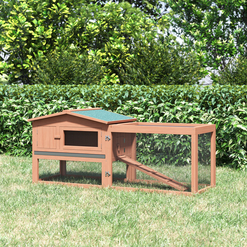 Rabbit Hutch