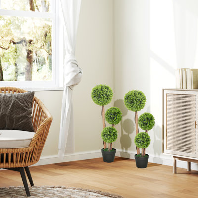90cm Plant