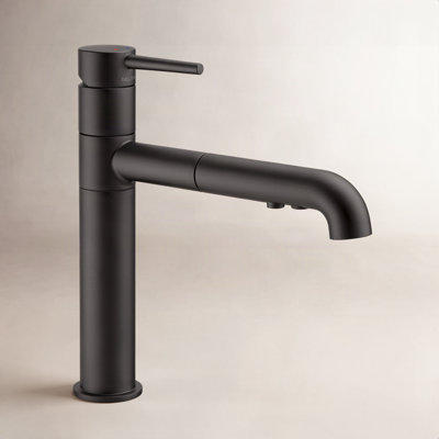 Trinsic Pull-Out Kitchen Faucet