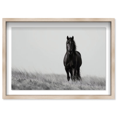 Lone Stallion I Print by Oliver Gal