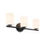 Ezra 22-in Black dimmable Bathroom Vanity Light