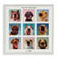 «Follow Your Nose Dogs», estampe numérique, design par Lucia Heffernan-117094025-117094032