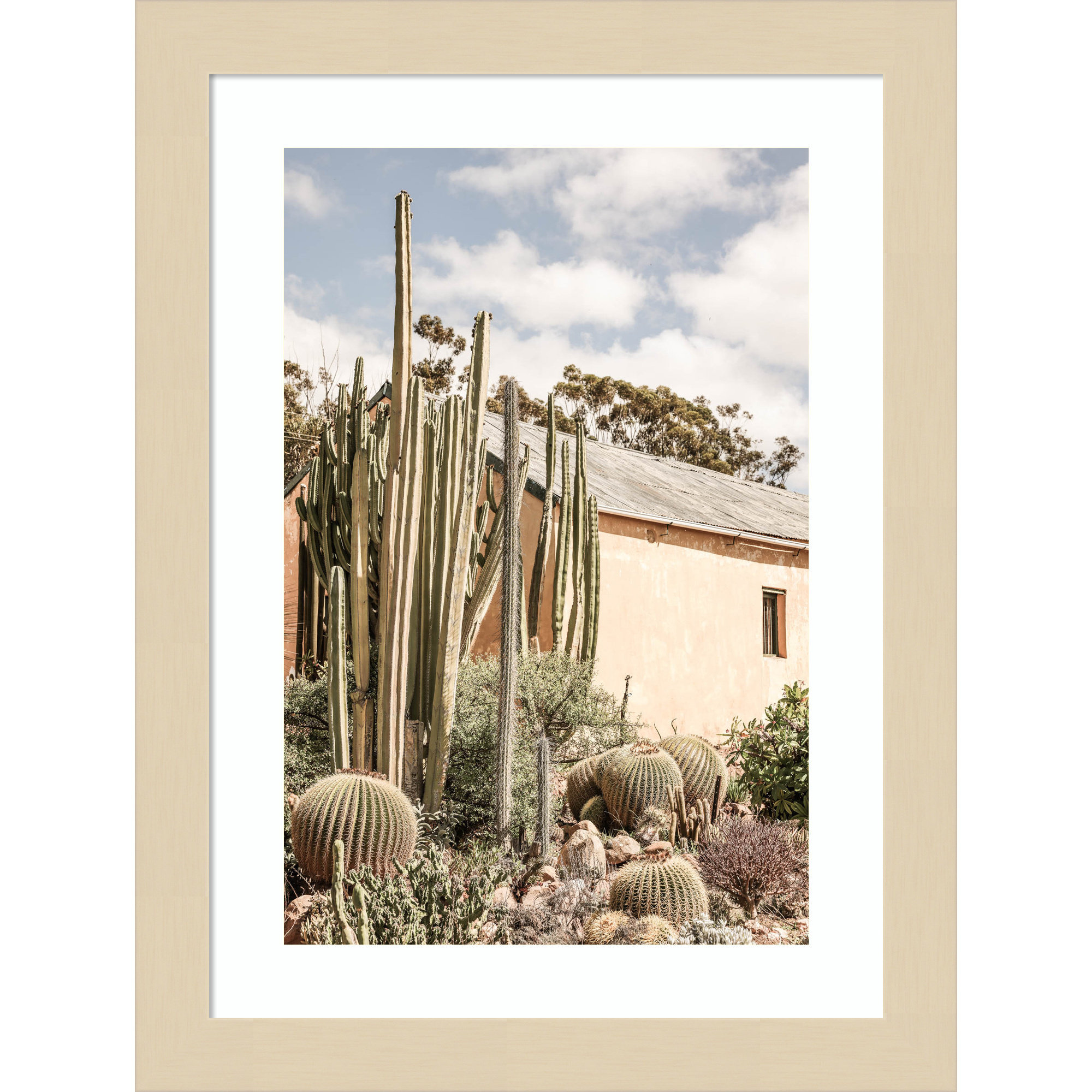 Karoo Garden 02 by Shot by Clint Wood Framed Wall Art Print, Brown , 13" H x 10" W