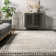 Makenna Performance Solid Shag Light Gray/Beige/Ivory Rug