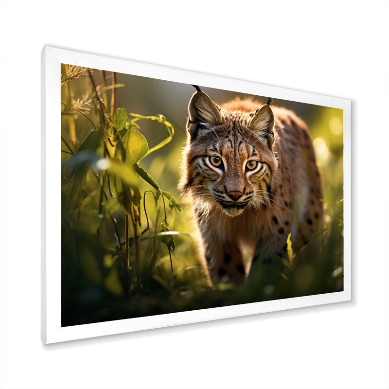 Portrait de lynx brun dans la nature, H 34 po x l 44 po x P 1,5 po, Cadre photo blanc