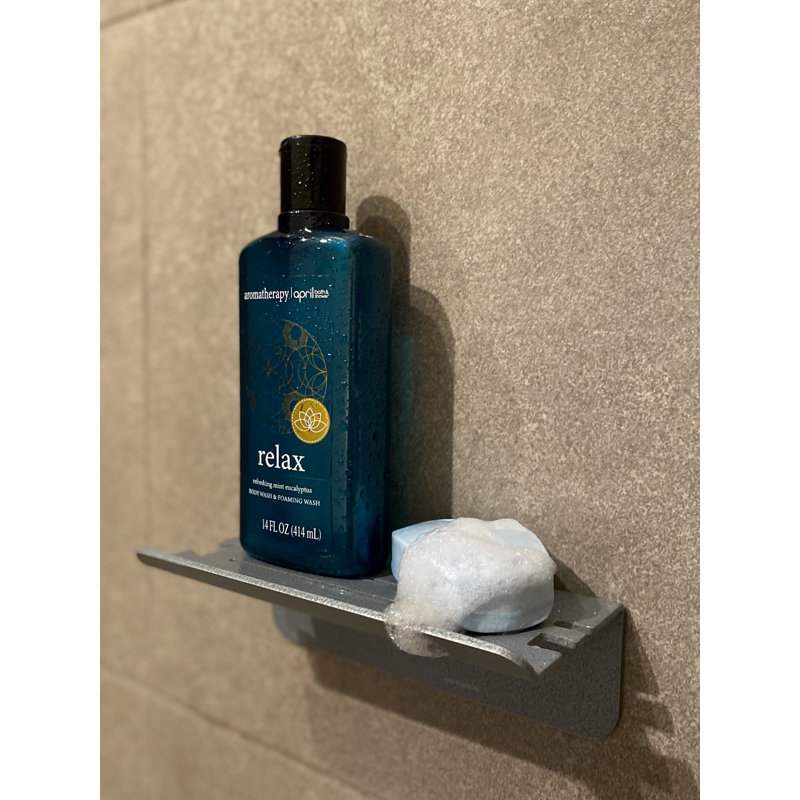 Tablette de douche 8 po Rebrilliant Classic, Argent