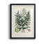 Collection Ferns VII - reproduction de cadre photo-1709782161-1709782160