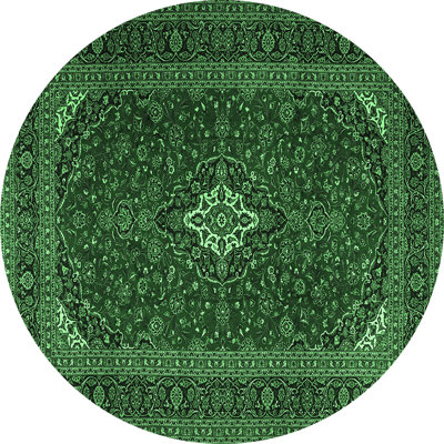 Jevgenia Performance Oriental Indoor Rug