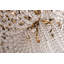 Royalton 12 - Light Pendant-985000502