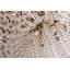 Royalton Chandelier-1983566877