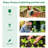 6' X 3' Greenhouse For Garden, Clear, Steel Frame, 2 Covers & Accessible Windows Clear Portable 3', Steel, Pe/Plastic Covers, Adjustable