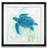" Reef Turtle II "-33348910-33488642