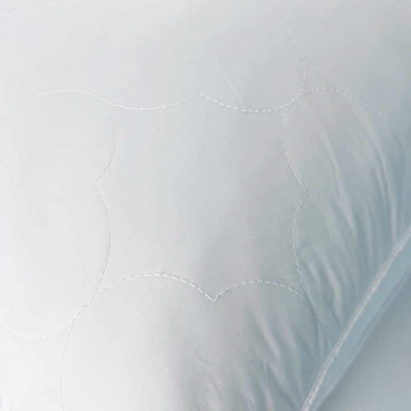 Ensemble de 2 coussins en plumes d'oie grise avec coussin 100% coton, housse 100% coton, Très grand lit