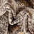Antwanett Indoor Rug-344390013