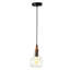 Luminaire suspendu simple 1 lumière