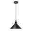 Brookshire 1 - Light Black Single Pendant