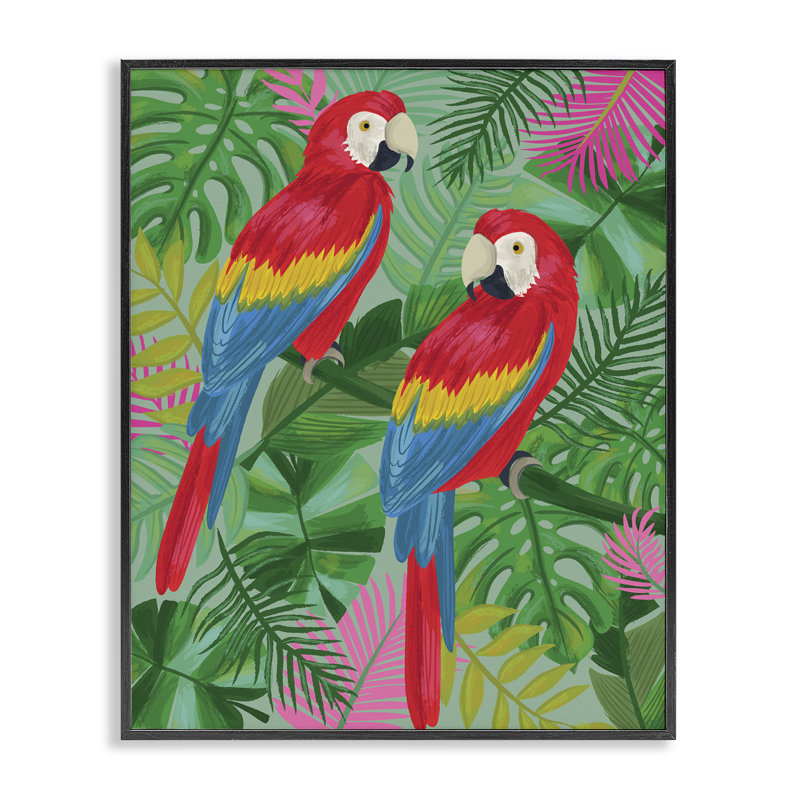 Perroquet rose, art de la giclée encadrée par Lisa Perry White, H 30 po x l 24 po, Giclée encadrée noir minuit